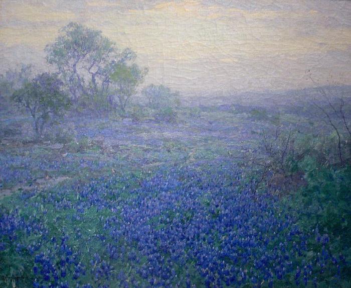 Julian Onderdonk Cloudy Day. Bluebonnets near San Antonio, Texas Spain oil painting art